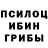 Галлюциногенные грибы GOLDEN TEACHER Thomas Stephan