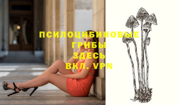 а пвп мука Нягань