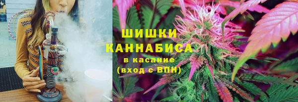 стаф Абдулино