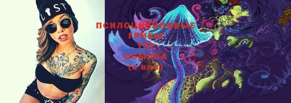 стаф Абдулино